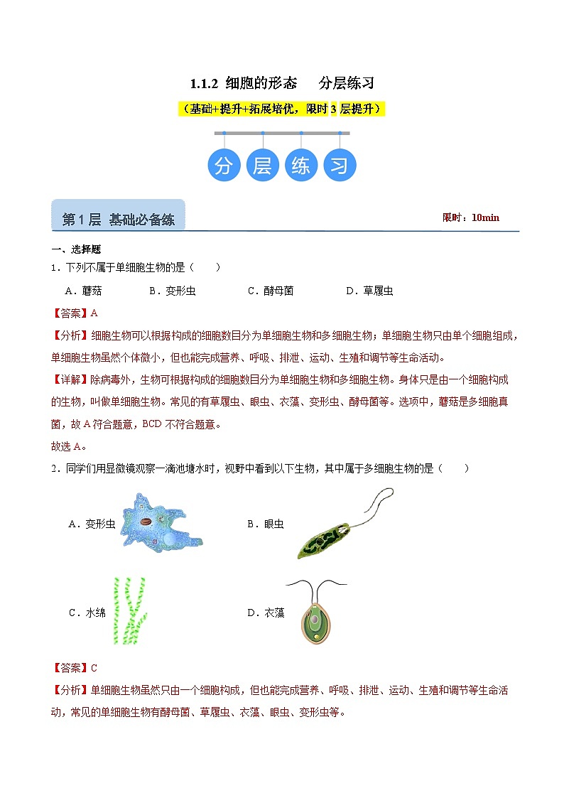 【核心素养】冀少版（2024）生物七年级上册 1.1.2 细胞的形态 同步课件+同步练习01