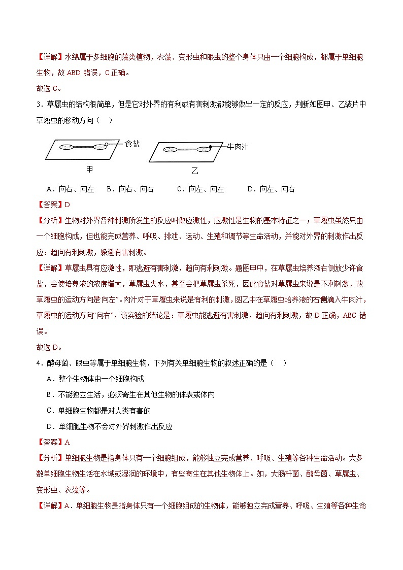 【核心素养】冀少版（2024）生物七年级上册 1.1.2 细胞的形态 同步课件+同步练习02