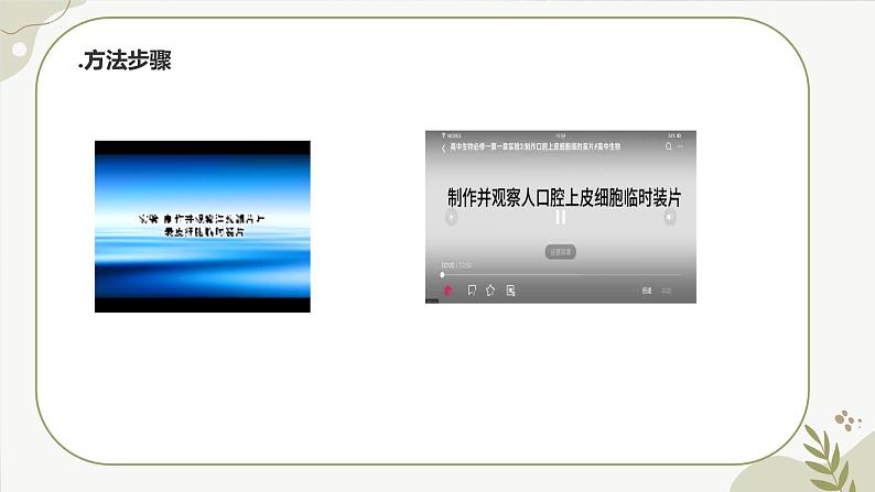 【核心素养】冀少版（2024）生物七年级上册 1.1.3  细胞的结构 同步课件+同步练习05