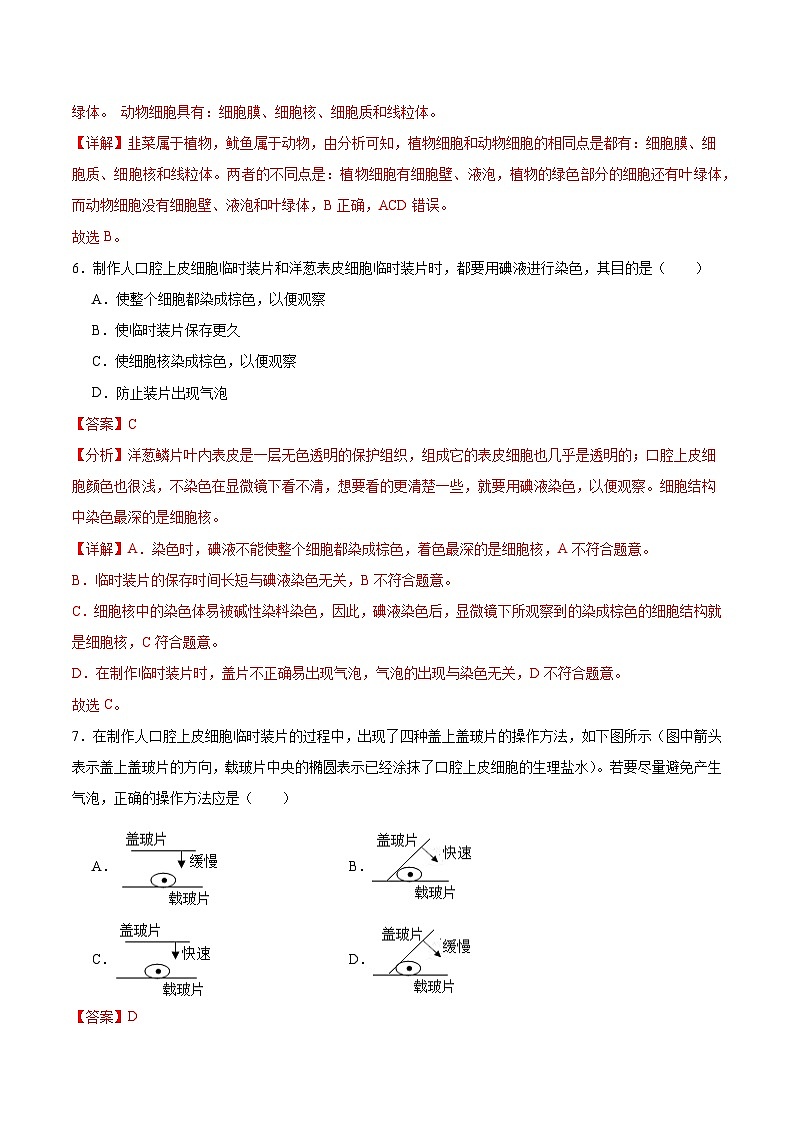 【核心素养】冀少版（2024）生物七年级上册 1.1.3  细胞的结构 同步课件+同步练习03