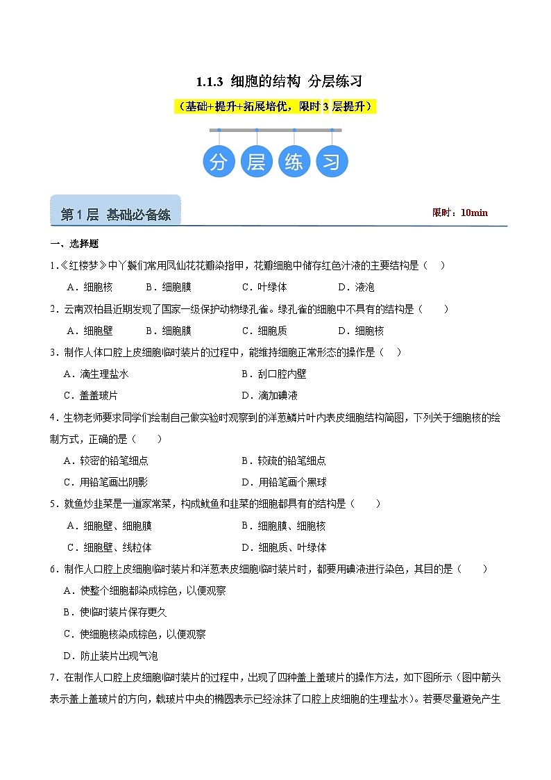 【核心素养】冀少版（2024）生物七年级上册 1.1.3  细胞的结构 同步课件+同步练习01