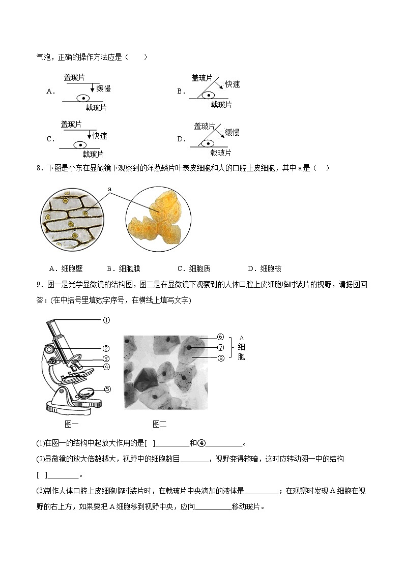 【核心素养】冀少版（2024）生物七年级上册 1.1.3  细胞的结构 同步课件+同步练习02