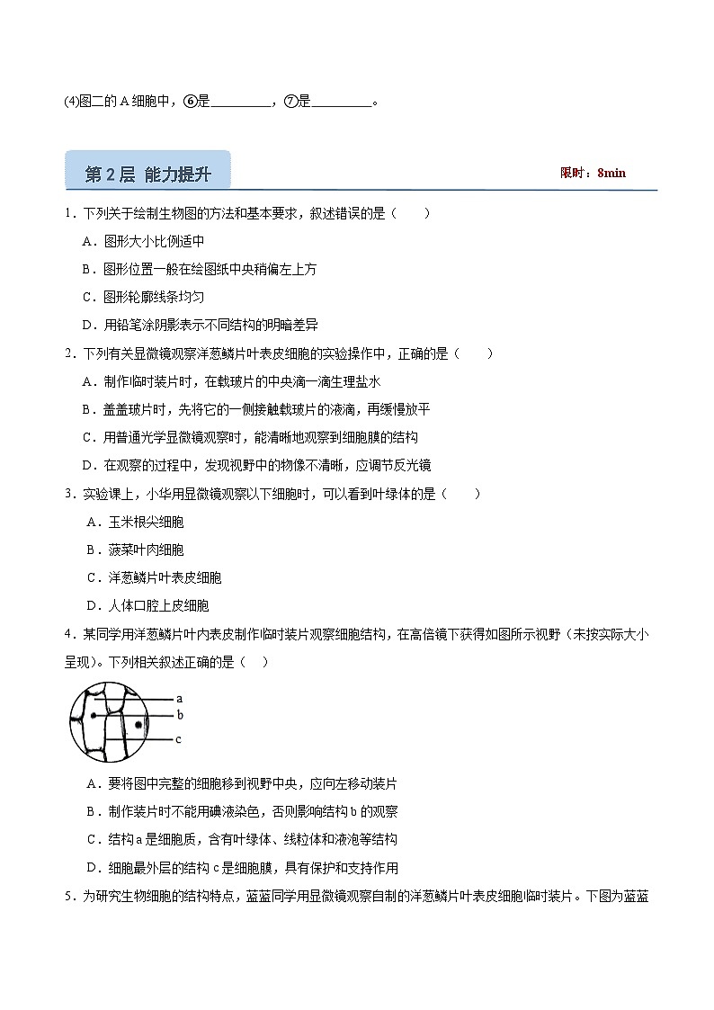 【核心素养】冀少版（2024）生物七年级上册 1.1.3  细胞的结构 同步课件+同步练习03