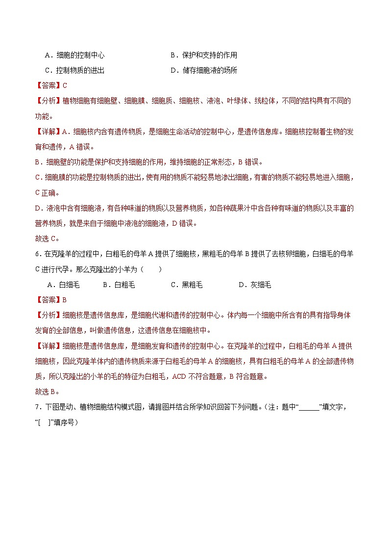 【核心素养】晋少版（2024）生物七年级上册 1.1.4  细胞的生命活动（分层练习）（解析版）第3页