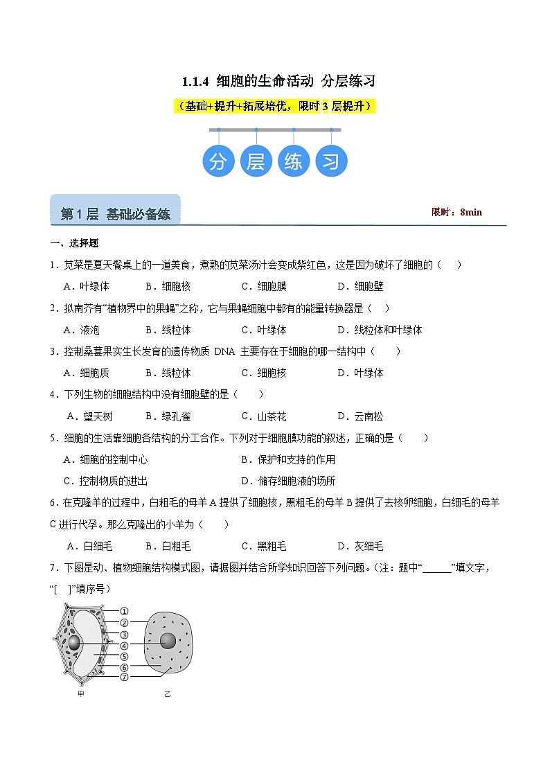 【核心素养】晋少版（2024）生物七年级上册 1.1.4  细胞的生命活动（分层练习）（原卷版）第1页
