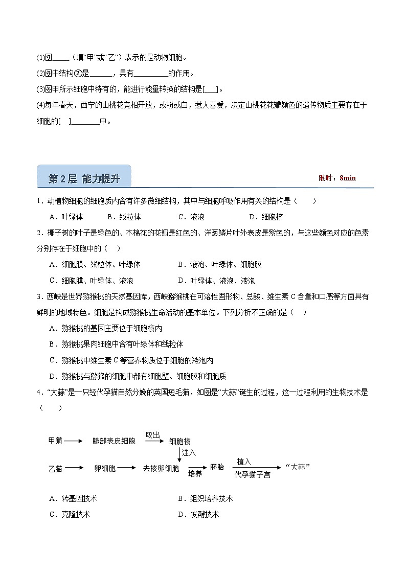 【核心素养】晋少版（2024）生物七年级上册 1.1.4  细胞的生命活动（分层练习）（原卷版）第2页