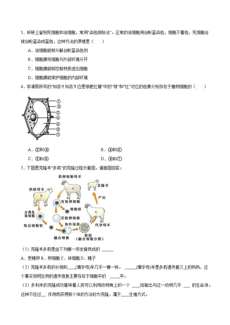 【核心素养】晋少版（2024）生物七年级上册 1.1.4  细胞的生命活动（分层练习）（原卷版）第3页
