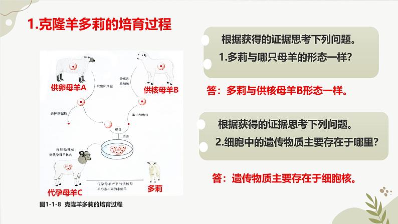 【核心素养】晋少版（2024）生物七年级上册 1.1.4  细胞的生命活动 同步课件第6页