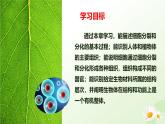 【核心素养】冀少版（2024）生物七年级上册 1.2.1 细胞的分裂 同步课件+同步练习