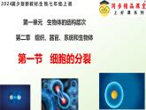 【核心素养】冀少版（2024）生物七年级上册 1.2.1 细胞的分裂 同步课件+同步练习