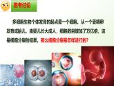 【核心素养】冀少版（2024）生物七年级上册 1.2.1 细胞的分裂 同步课件+同步练习
