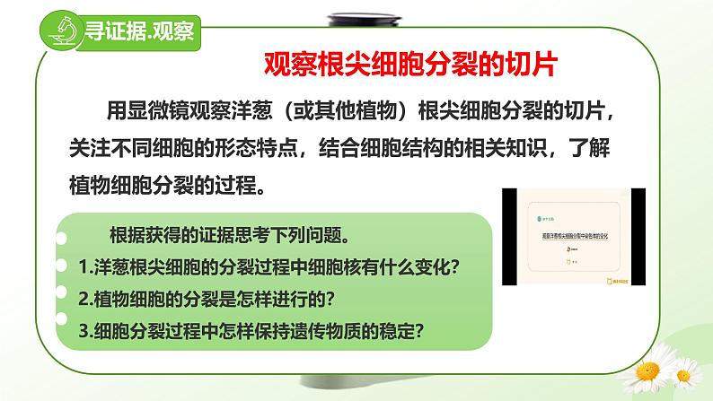 【核心素养】冀少版（2024）生物七年级上册 1.2.1 细胞的分裂 同步课件+同步练习06