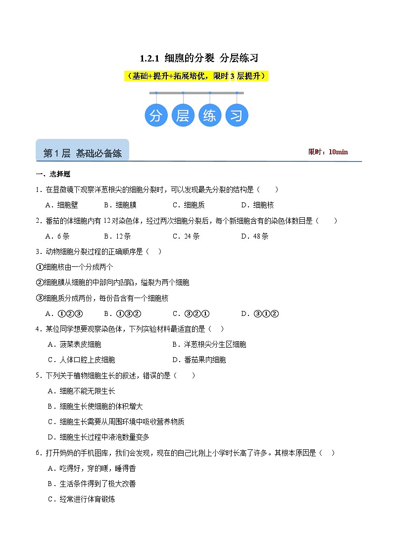 【核心素养】冀少版（2024）生物七年级上册 1.2.1 细胞的分裂 同步课件+同步练习01