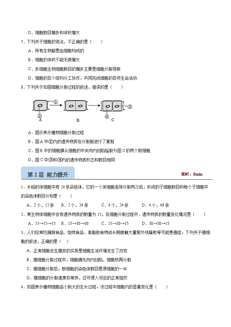 【核心素养】冀少版（2024）生物七年级上册 1.2.1 细胞的分裂 同步课件+同步练习02