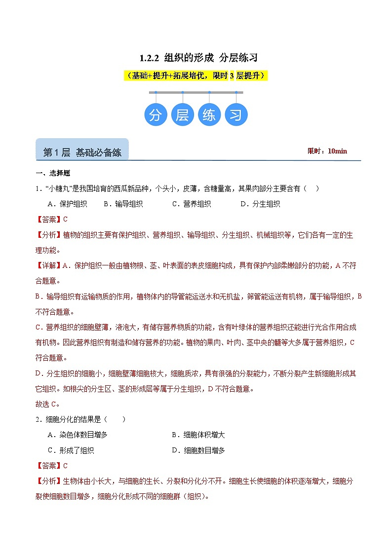 【核心素养】冀少版（2024）生物七年级上册 1.2.2 组织的形成 同步课件+同步练习01