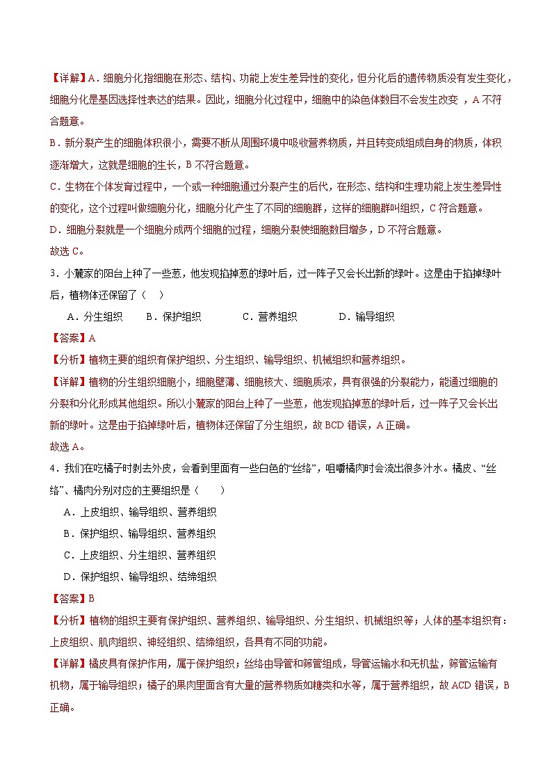 【核心素养】冀少版（2024）生物七年级上册 1.2.2 组织的形成 同步课件+同步练习02