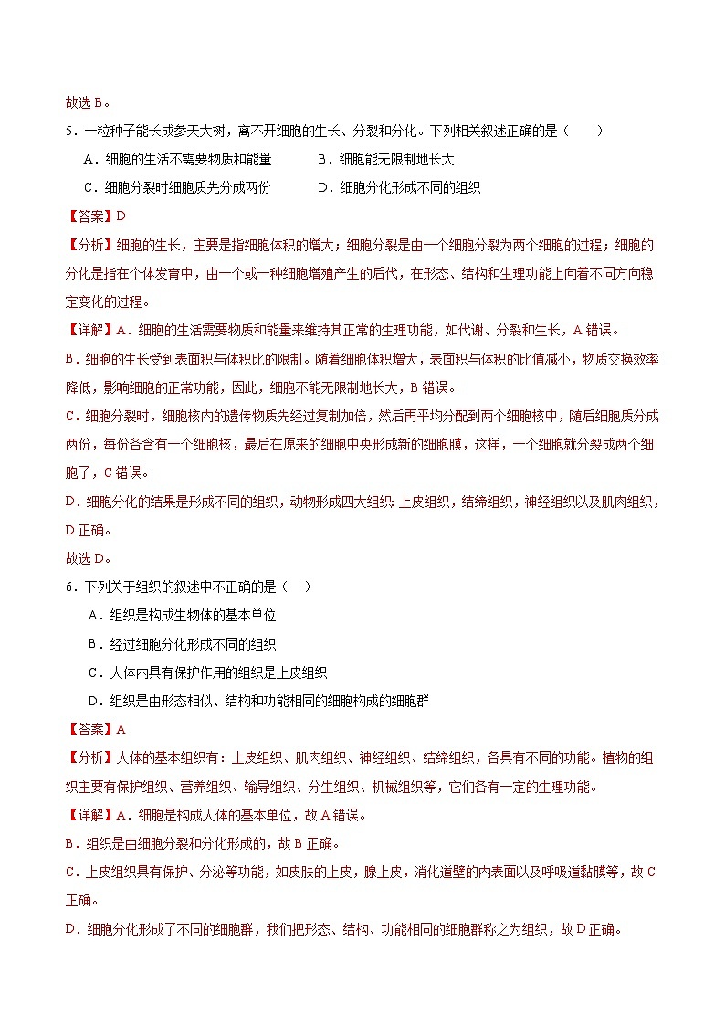 【核心素养】冀少版（2024）生物七年级上册 1.2.2 组织的形成 同步课件+同步练习03