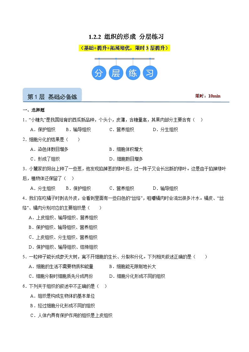 【核心素养】冀少版（2024）生物七年级上册 1.2.2 组织的形成 同步课件+同步练习01