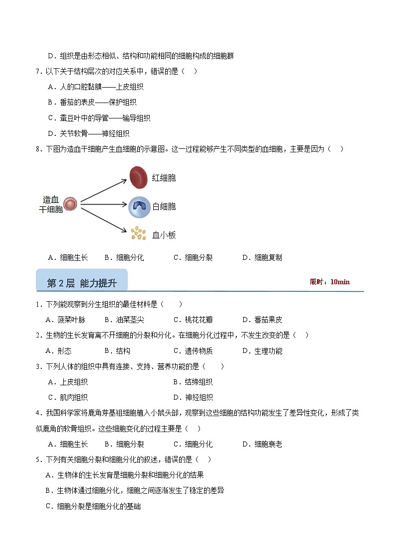 【核心素养】冀少版（2024）生物七年级上册 1.2.2 组织的形成 同步课件+同步练习02