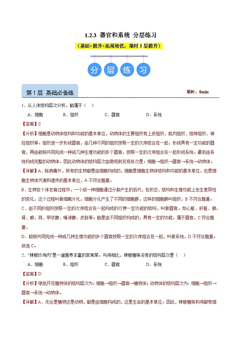 【核心素养】冀少版（2024）生物七年级上册 1.2.3 器官和系统 同步课件+同步练习01