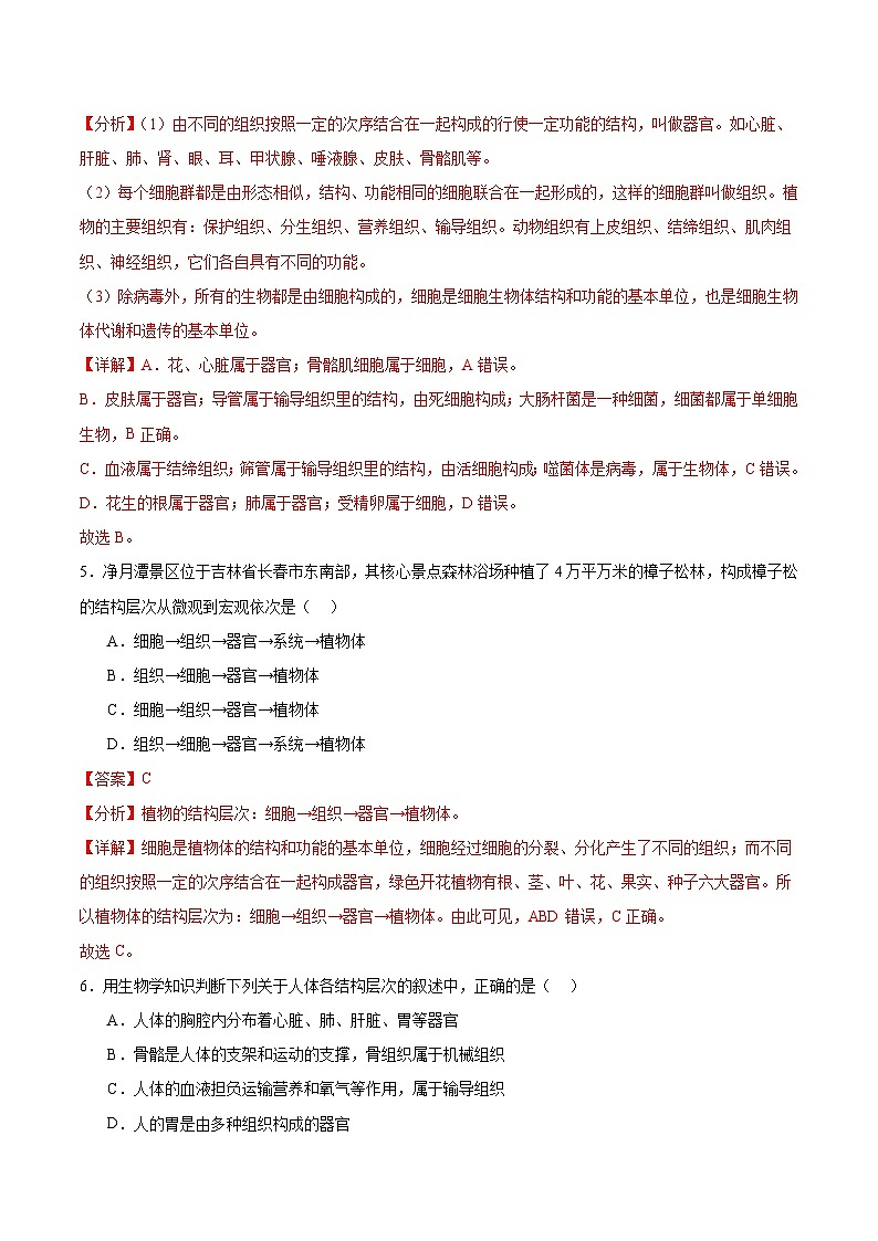 【核心素养】冀少版（2024）生物七年级上册 1.2.3 器官和系统 同步课件+同步练习03