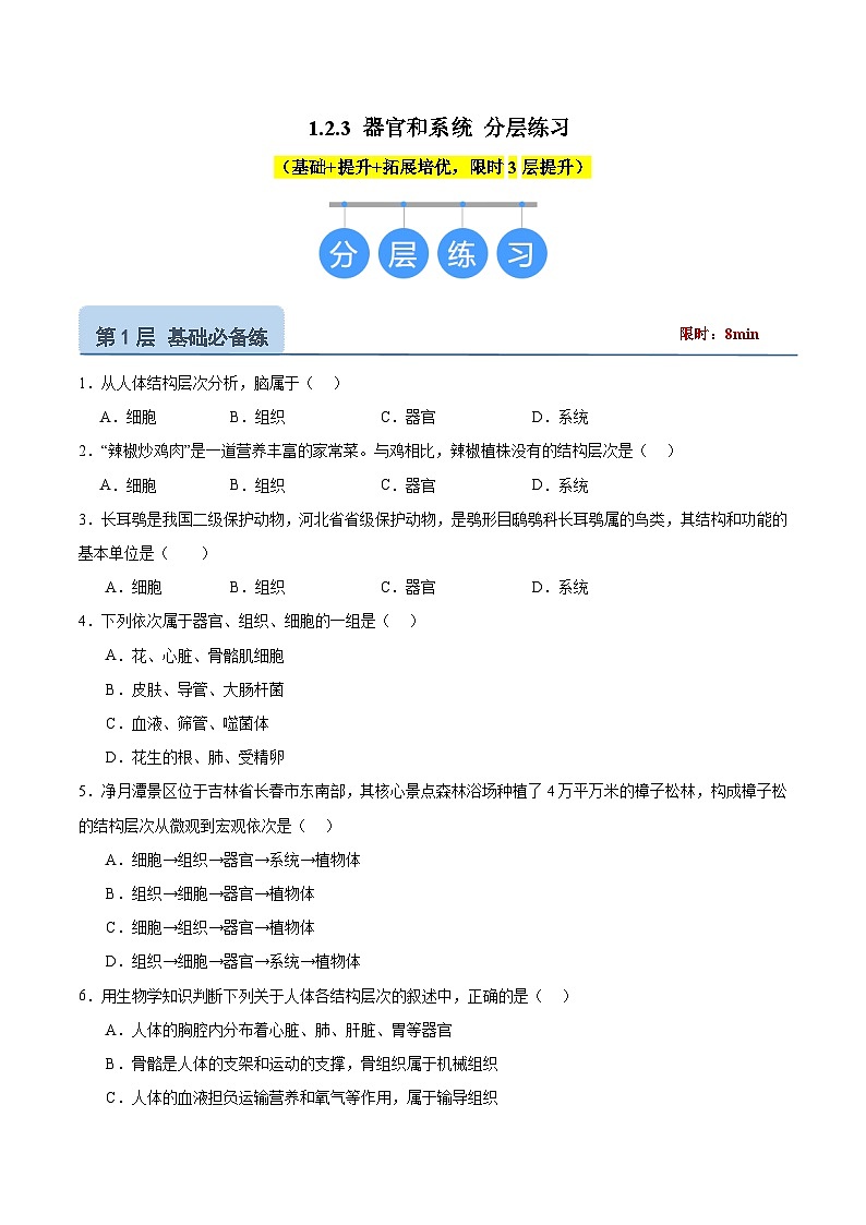 【核心素养】冀少版（2024）生物七年级上册 1.2.3 器官和系统 同步课件+同步练习01