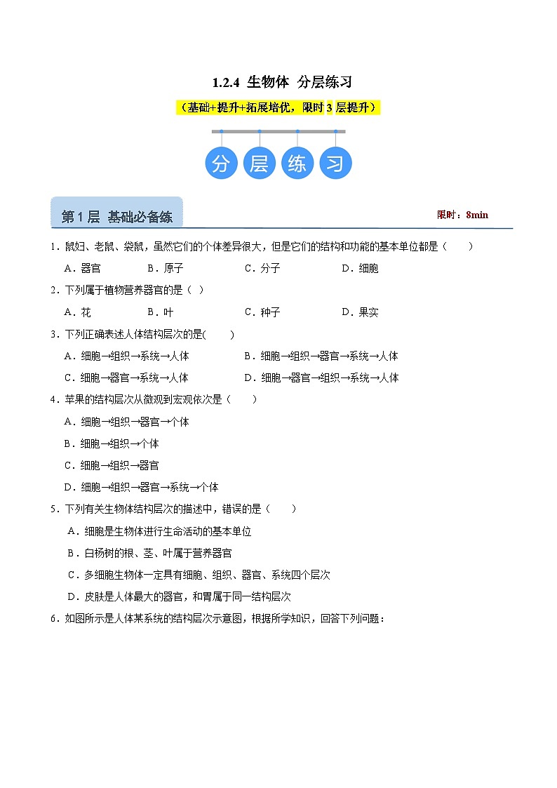 【核心素养】冀少版（2024）生物七年级上册 1.2.4  生物体 同步课件+同步练习01
