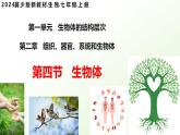 【核心素养】冀少版（2024）生物七年级上册 1.2.4  生物体 同步课件+同步练习