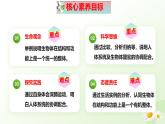 【核心素养】冀少版（2024）生物七年级上册 1.2.4  生物体 同步课件+同步练习