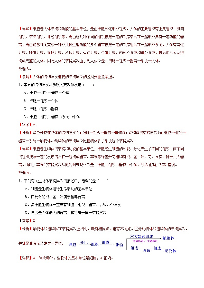 【核心素养】冀少版（2024）生物七年级上册 1.2.4  生物体 同步课件+同步练习02