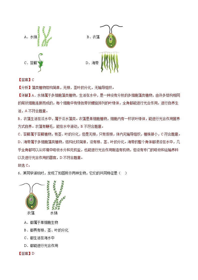 【核心素养】冀少版（2024）生物七年级上册 2.1.1  藻类 同步课件+同步练习03