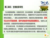 【核心素养】冀少版（2024）生物七年级上册 2.1.1  藻类 同步课件+同步练习