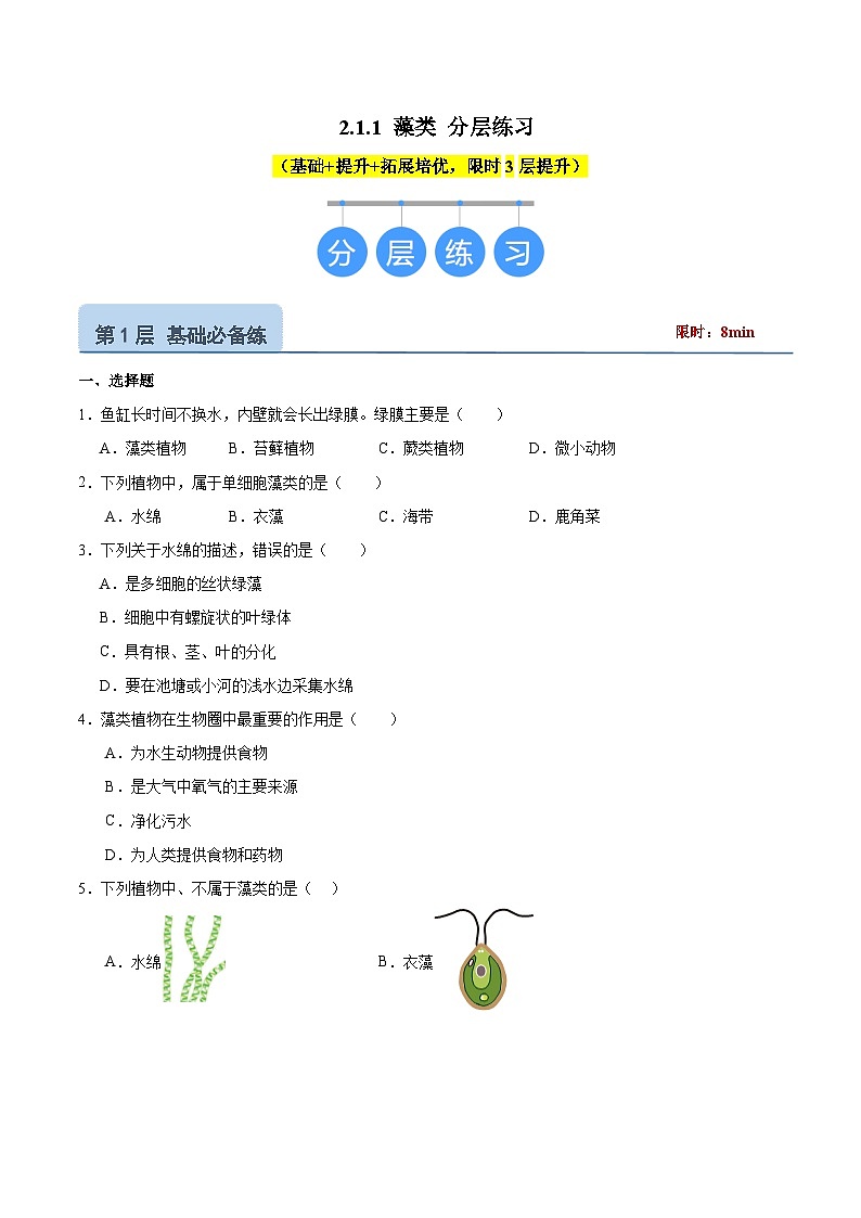 【核心素养】冀少版（2024）生物七年级上册 2.1.1  藻类 同步课件+同步练习01