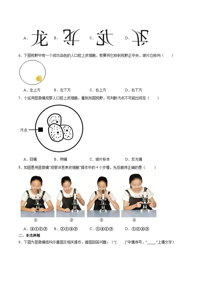 【核心素养】苏教版（2024）生物七年级上册 1.1.1 走进生物学实验室（分层作业）（第1课时）（原卷版）第2页