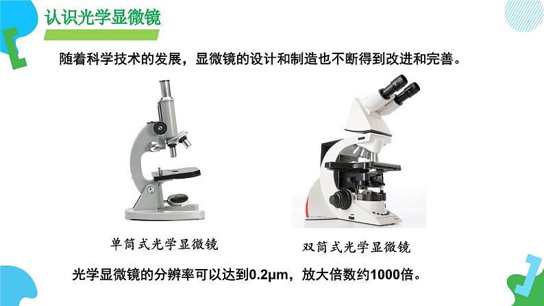 【核心素养】苏教版（2024）生物七年级上册 1.1.1 走进生物学实验室（教学课件+同步练习）（第1课时）07