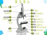【核心素养】苏教版（2024）生物七年级上册 1.1.1 走进生物学实验室（教学课件+同步练习）（第2课时）