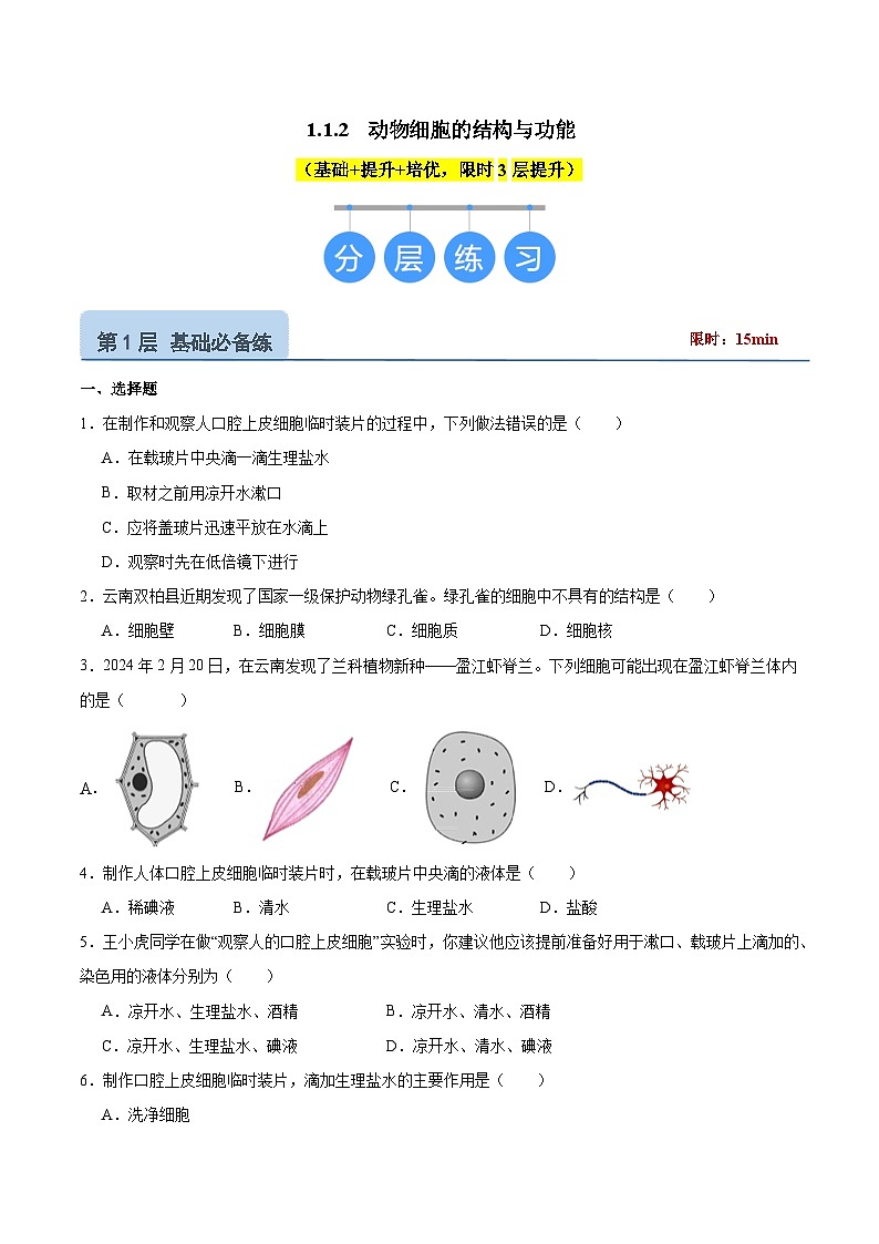 【核心素养】苏教版（2024）生物七年级上册 1.1.2 动物细胞的结构与功能（教学课件+同步练习）01