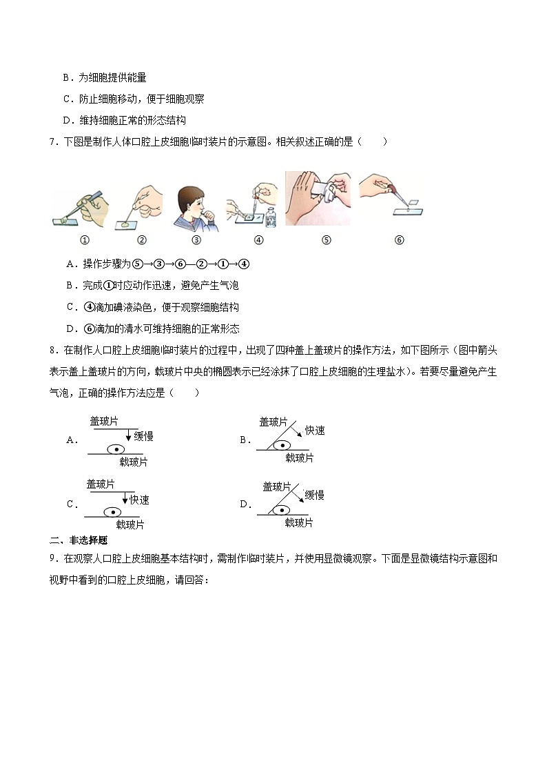 【核心素养】苏教版（2024）生物七年级上册 1.1.2 动物细胞的结构与功能（教学课件+同步练习）02