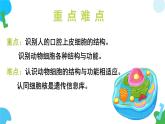 【核心素养】苏教版（2024）生物七年级上册 1.1.2 动物细胞的结构与功能（教学课件+同步练习）
