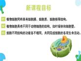 【核心素养】苏教版（2024）生物七年级上册 1.1.3 植物细胞的结构与功能（教学课件+同步练习）