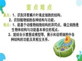 【核心素养】苏教版（2024）生物七年级上册 1.1.3 植物细胞的结构与功能（教学课件+同步练习）