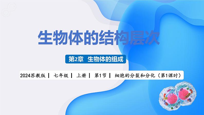 【核心素养】苏教版（2024）生物七年级上册 1.2.1 细胞的分裂和分化（第1课时）（教学课件+同步练习）01