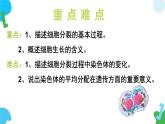 【核心素养】苏教版（2024）生物七年级上册 1.2.1 细胞的分裂和分化（第1课时）（教学课件+同步练习）