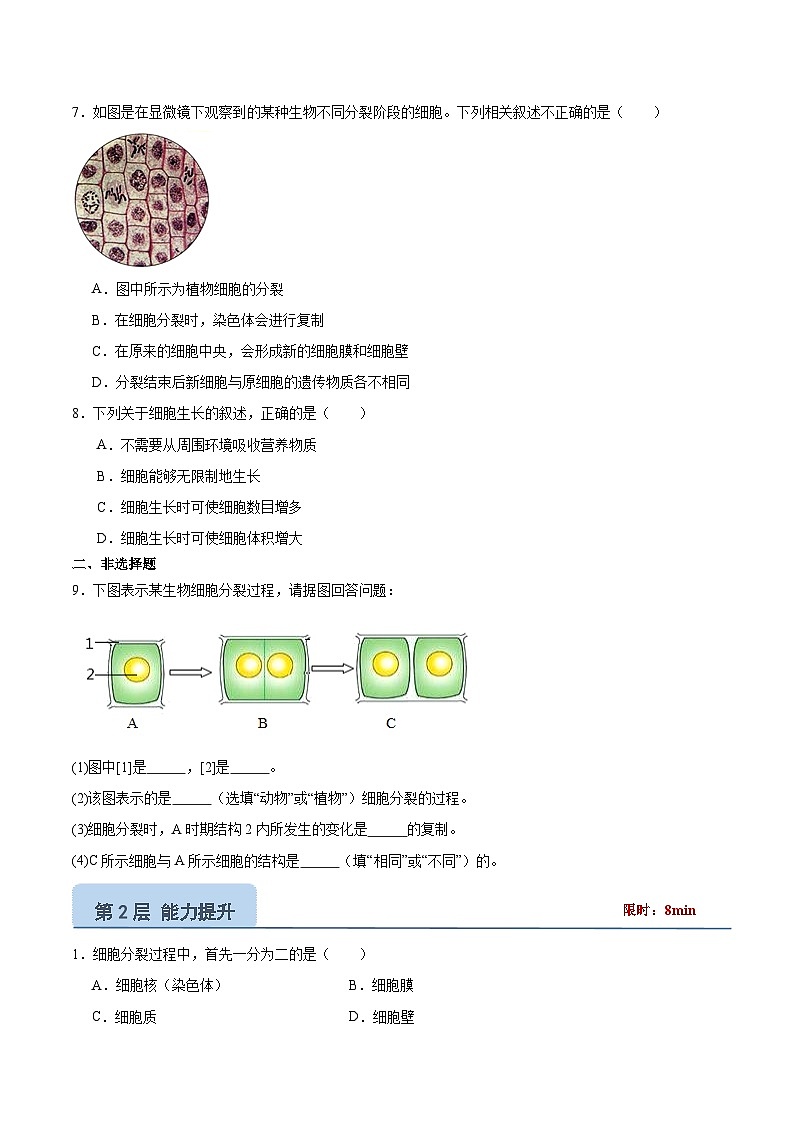 【核心素养】苏教版（2024）生物七年级上册 2.1.1 细胞的分裂和分化（分层作业）（第1课时） （原卷版）第2页