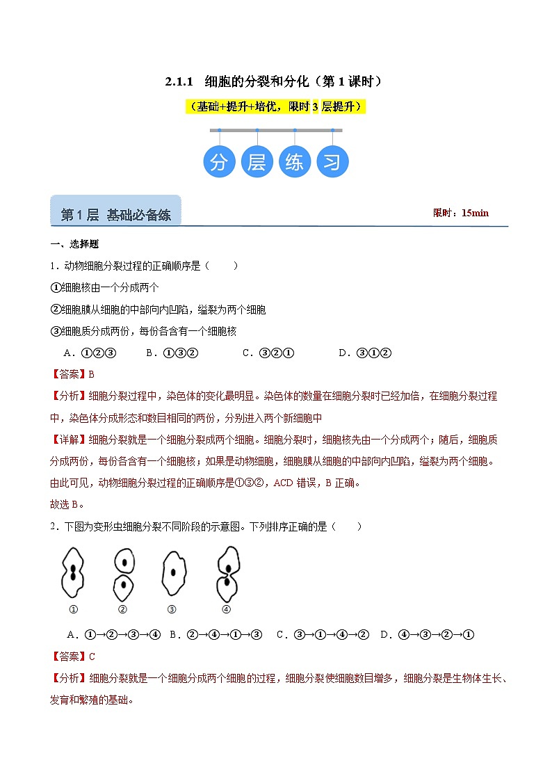【核心素养】苏教版（2024）生物七年级上册 2.1.1 细胞的分裂和分化（分层作业）（第1课时）（解析版）第1页