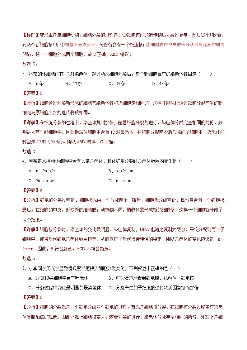 【核心素养】苏教版（2024）生物七年级上册 2.1.1 细胞的分裂和分化（分层作业）（第1课时）（解析版）第2页