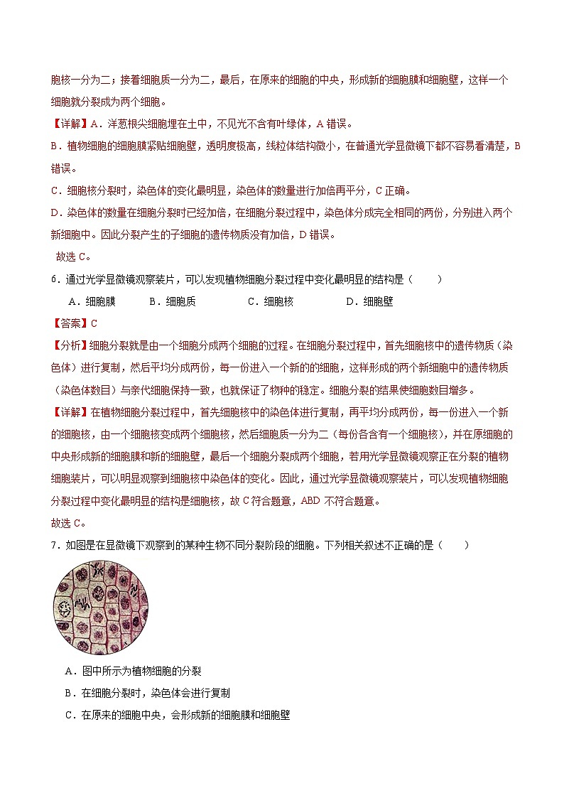 【核心素养】苏教版（2024）生物七年级上册 2.1.1 细胞的分裂和分化（分层作业）（第1课时）（解析版）第3页