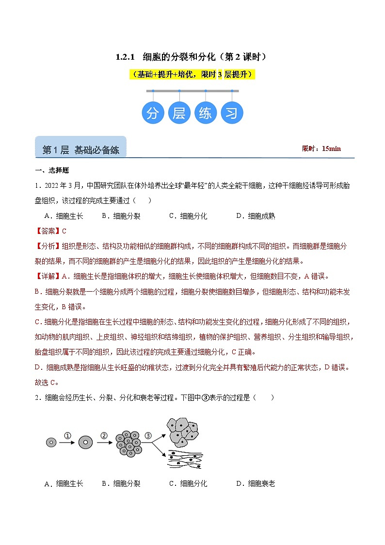 【核心素养】苏教版（2024）生物七年级上册 1.2.1 细胞的分裂和分化（分层作业）（第2课时）（解析版）第1页