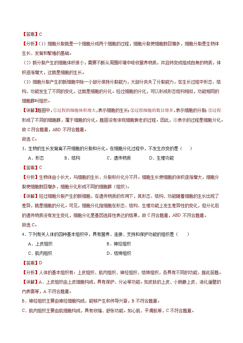 【核心素养】苏教版（2024）生物七年级上册 1.2.1 细胞的分裂和分化（分层作业）（第2课时）（解析版）第2页