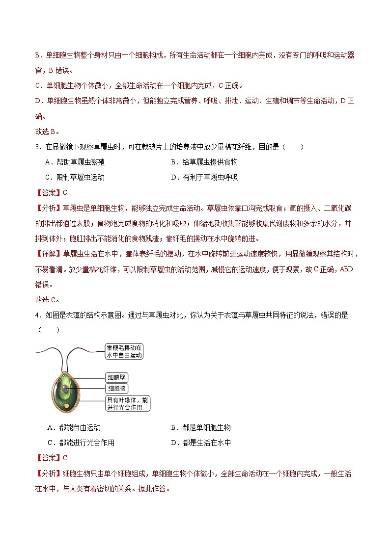 【核心素养】苏教版（2024）生物七年级上册 1.2.2 单细胞生物（教学课件+同步练习）02